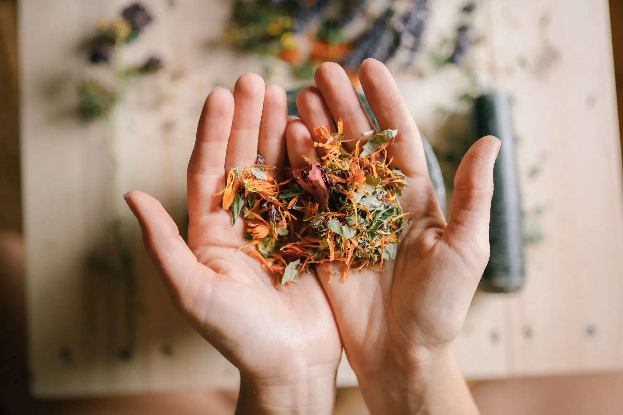 Naturopatía